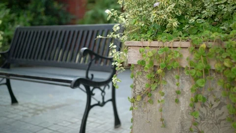 Bench in the park. Stock Footage 125086938
