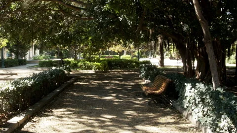 Bench in a park Stock Footage 151754890