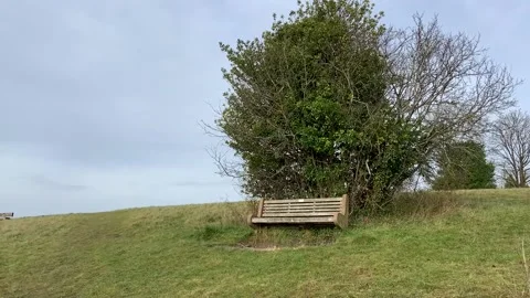 Bench in park Stock-Footage 227904244