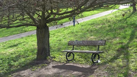 Bench in the park 스톡 동영상 236819756