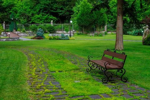 Bench in the park on the green grass Stock Photos