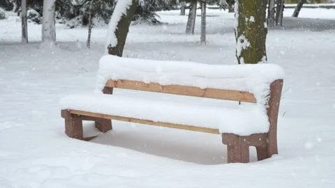 Bench in a park. heavy snowfall.snowfall. Empty bench in winter park. Loneliness Stock Footage 246828261