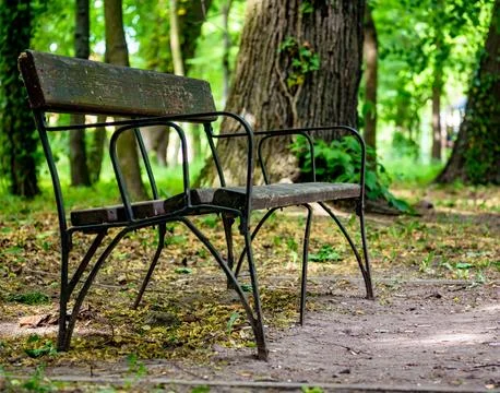 Bench in park in middle of trees in green climate Stock-Fotos
