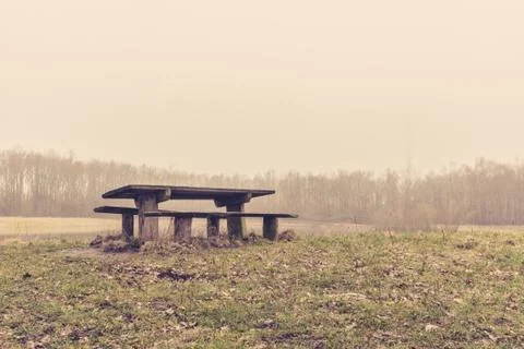 Bench in a park in the mist Stock Photos