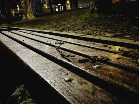 Bench in the park at night Stock Photos