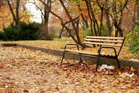 Bench in Park Stock Photos