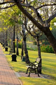 Bench in the park. Stock Photos