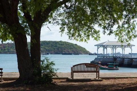 Bench in the park. Stock Photos