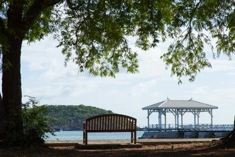 Bench in the park. Stock Photos