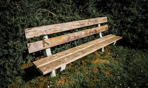 Bench in a park Stock Photos