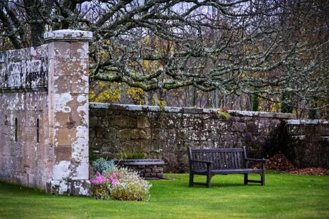 Bench in  a park Stock Photos