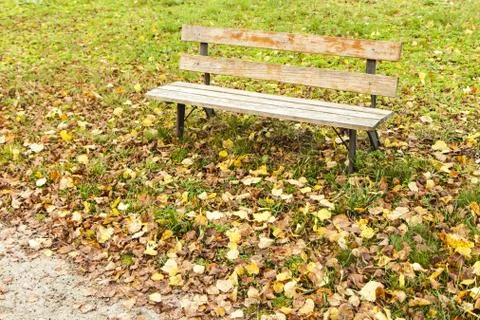 Bench in the park Stock Photos