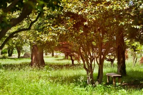 Bench in the park Stock Photos