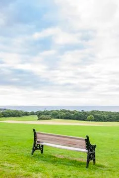 Bench in the park Stock Photos