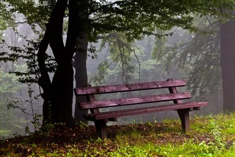 Bench in the park Stock Photos