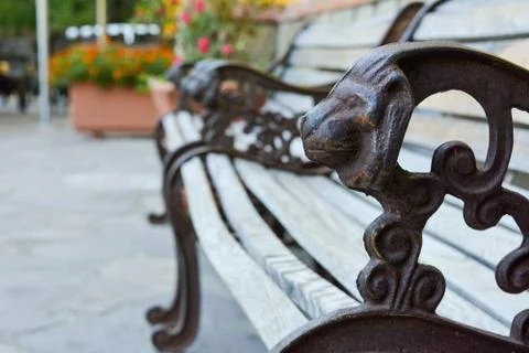 A bench in the park 库存照片