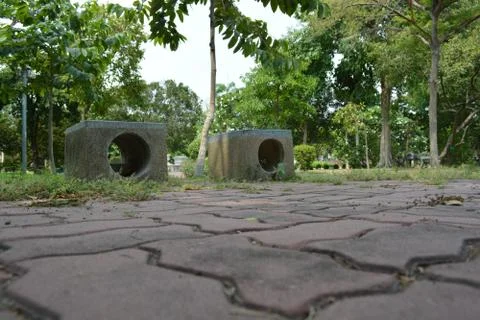 Bench in the park Stock Photos
