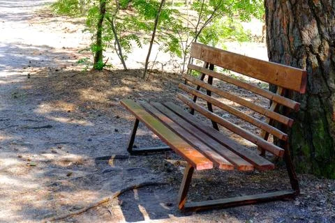 Bench in the Park Stock Photos
