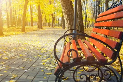 Bench in park Stock Photos