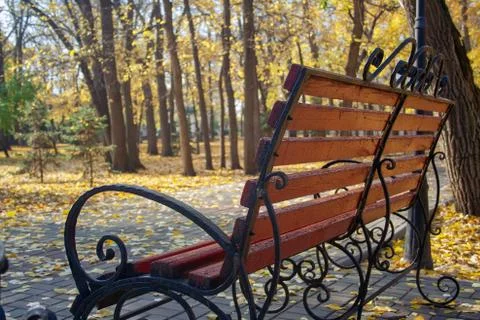 Bench in park 스톡 사진