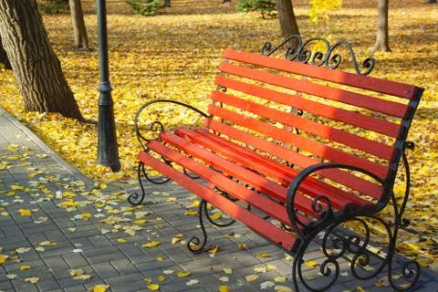 Bench in park Stock Photos