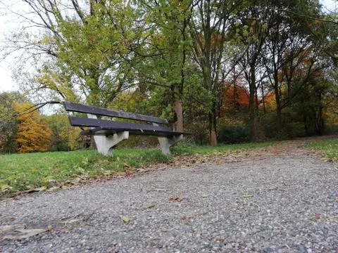 Bench in park Stock Photos