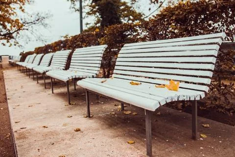 Bench in park Stock Photos