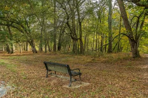 Bench in the park Stock Photos