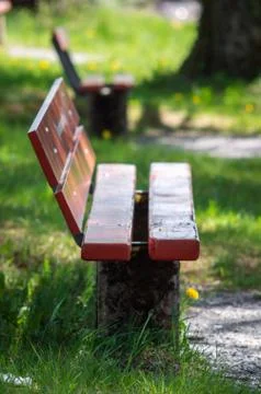 Bench in a park 스톡 사진