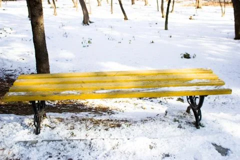 Bench in the park Foto stock