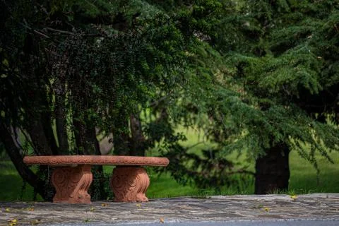 Bench in the park. Stock Photos