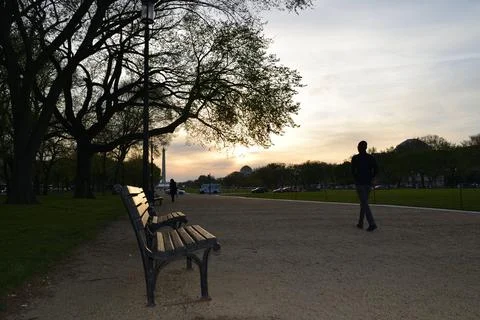 Bench at the park Stock Photos