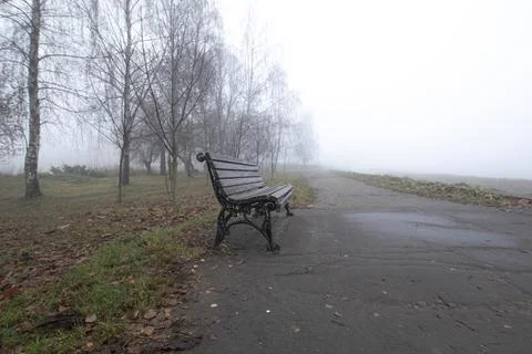 Bench in the park Stock Photos
