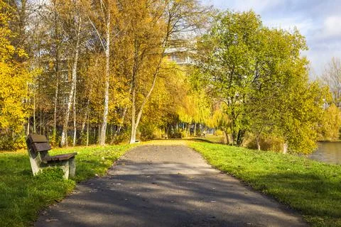 Bench in park Stock Photos