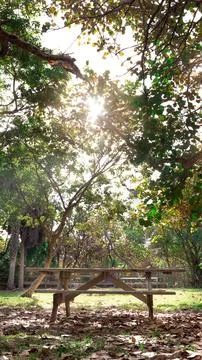 Bench in the park 스톡 사진