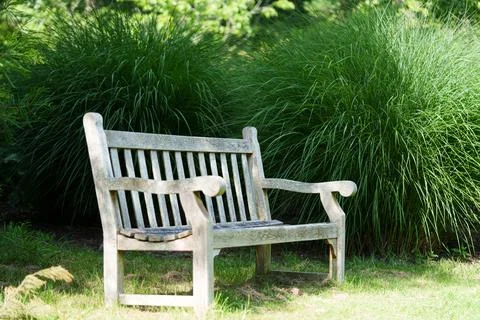Bench in the park Stock-Fotos