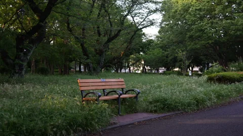 Bench in the park on a quiet summer evening Stock Footage 241494603