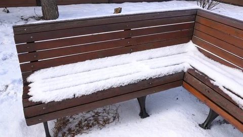 A Bench Park Recovers of Snow 스톡 동영상 127501894