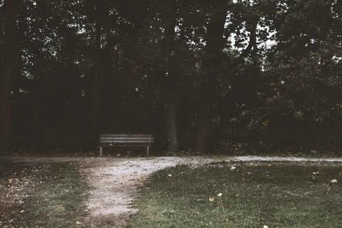 Bench in the park with road 스톡 사진