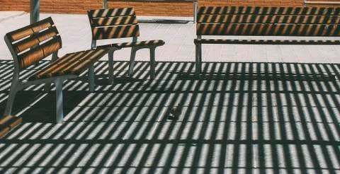 Bench in the park shadows Foto stock