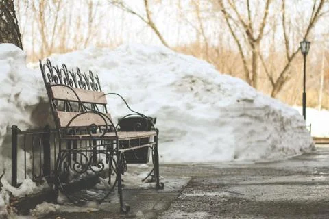 Bench in the park in the spring dull day Stock Photos