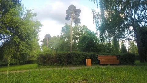 Bench In Park On Summer Day Timelapse Stockbeeldmateriaal 82048815