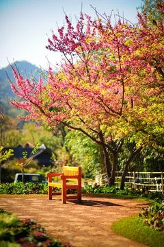 Bench in the park in summer. Stock Photos
