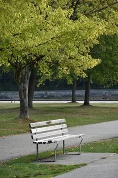 A bench in the park in summer Stock Photos