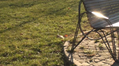 Bench In The Park Sun Flare Video stock 34013386