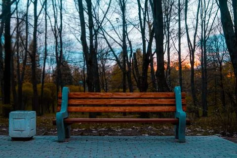Bench in the park at sunset Stock Photos