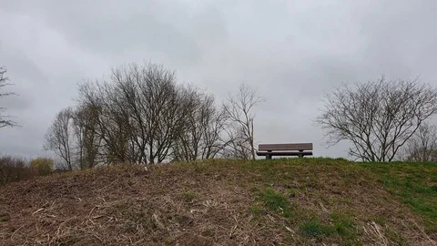 Bench in a park with waving trees during winter or early spring Stock Footage 126338114