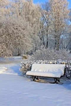 Bench in the park in winter Stock Photos