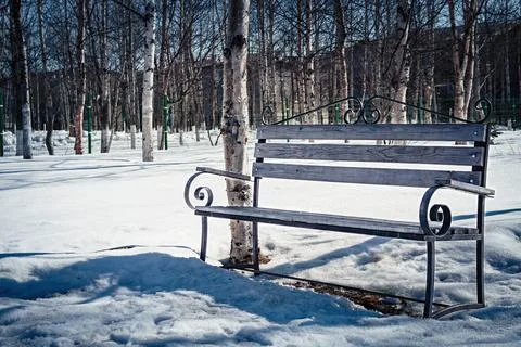 Bench in the park in winter. Stock Photos