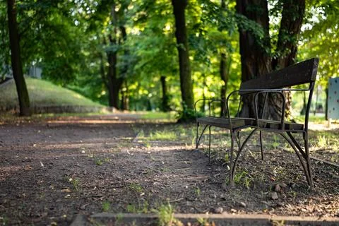 Bench by path in park benches among trees green climate Foto stock